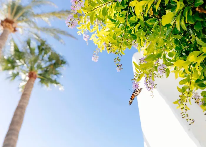 Hd Parque Cristobal Tenerife Playa de las Americas 